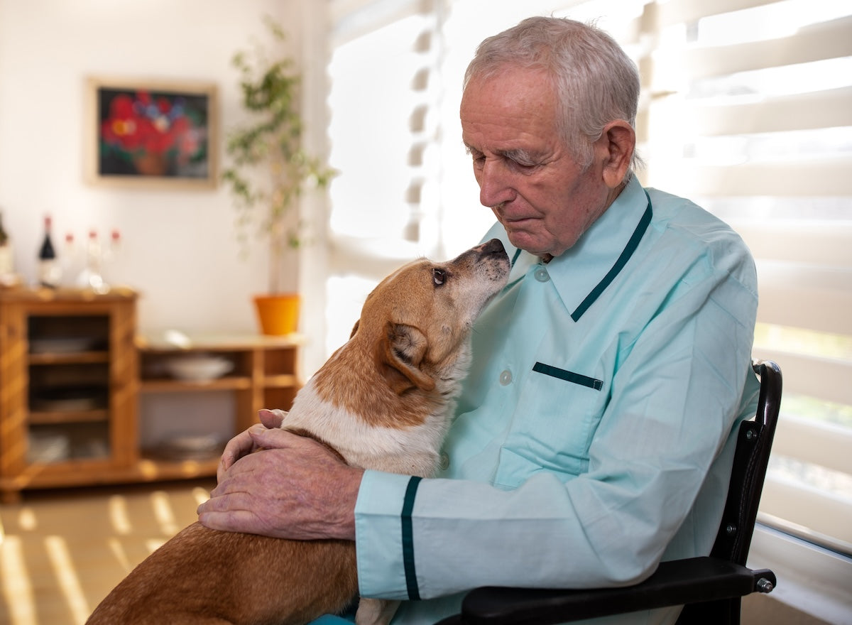 Personal Advocacy Services